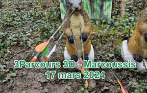 FFTL - 3D Marcoussis 17 mars 2024