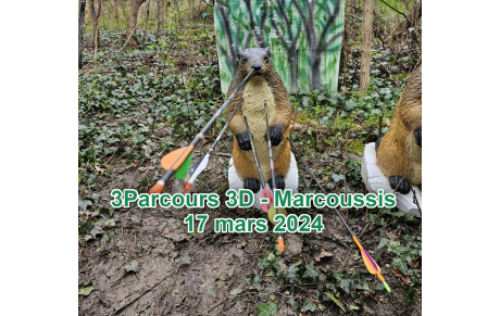 FFTL - 3D Marcoussis 17 mars 2024